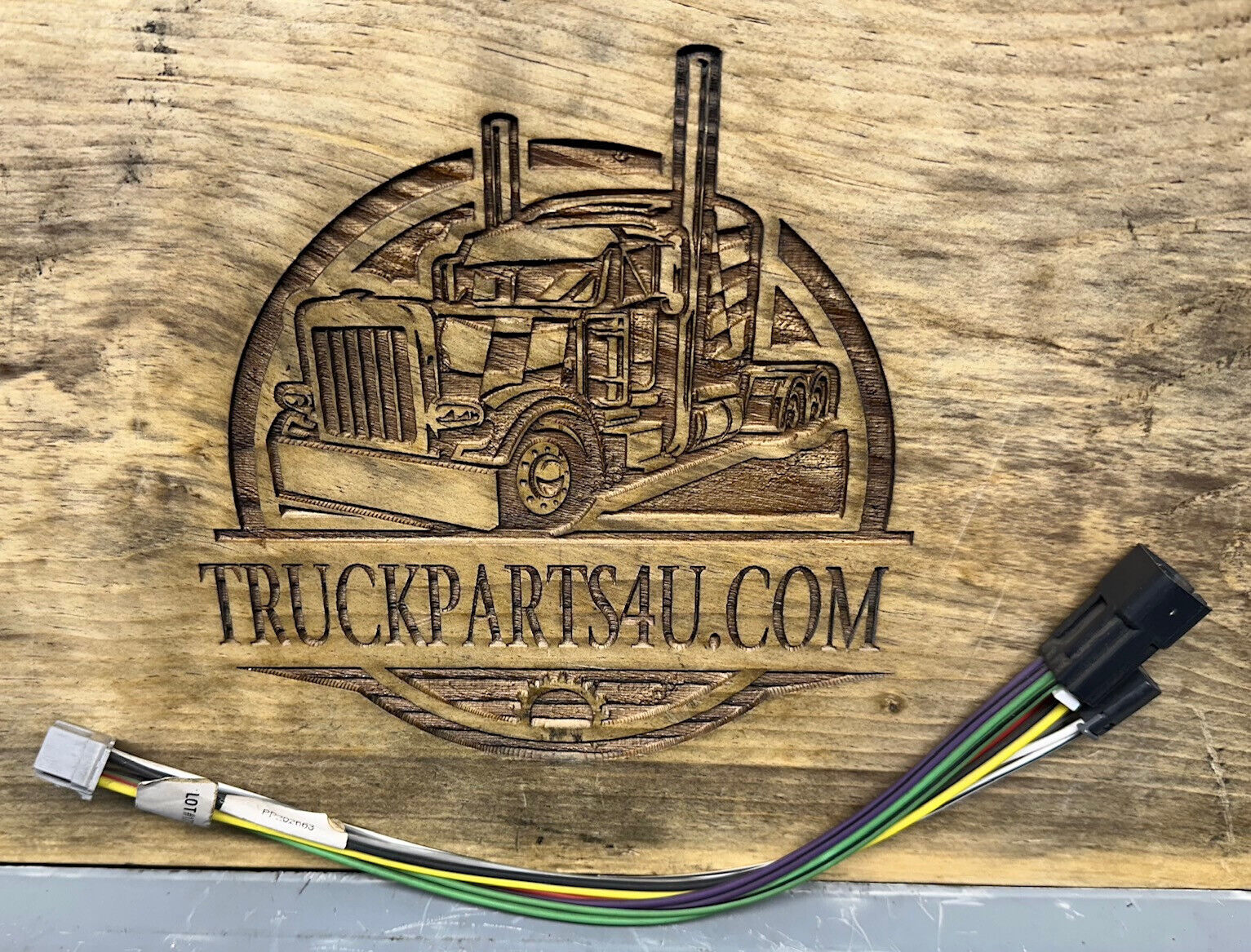 Front view of Pana-Pacific PP202663 radio harness – Mack 5165-PP202663